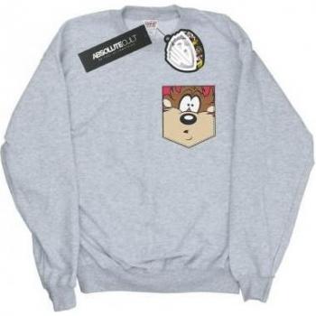 Looney Tunes Boys Tasmanian Devil Sweatshirt