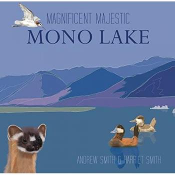 Magnificent Majestic Mono Lake