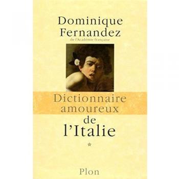 Dominique Fernandez Coffret Dictionnaire Amoureux De L'Italie