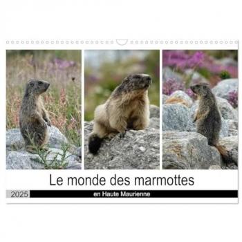 Denis, Michel: Le monde des marmottes en Haute Maurienne (Calendrier mural 2025 DIN A3 vertical), CALVENDO calendrier mensuel