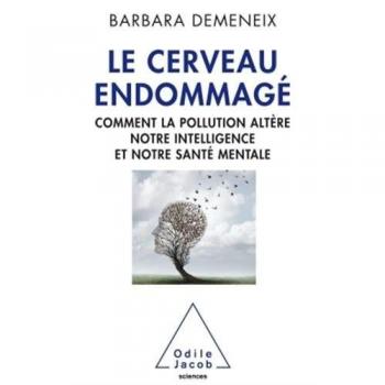 Le Cerveau endommagé
