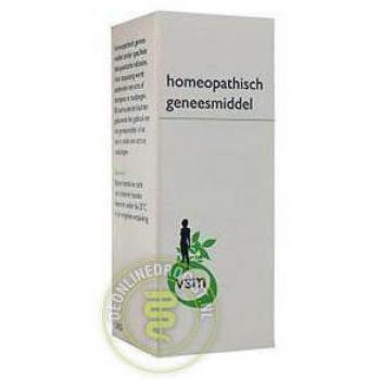 VSM Equisetum D6 20ml