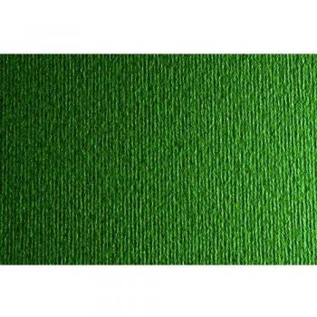 Bristol Extra Vert Foncé 220 g – Pack 50 × 70 cm