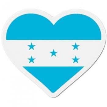 Multicolor Honduras Heart Flag Magnet - 8 cm - 50 Pack - Resin - Mixed Use