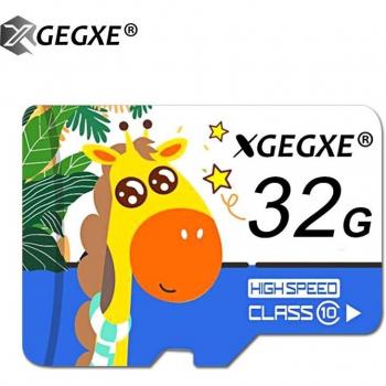 MicroSD Card