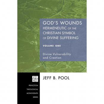 Vitalsource Technologies, Inc. God's Wounds: Hermeneutic Of The Christian Symbol Of Divine Suffering,