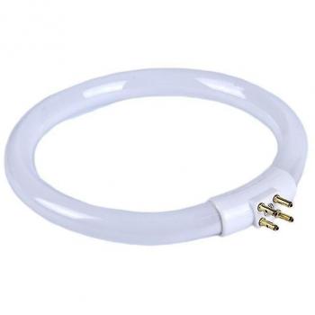 Ampoule Fluorescente Ronde 11W T4