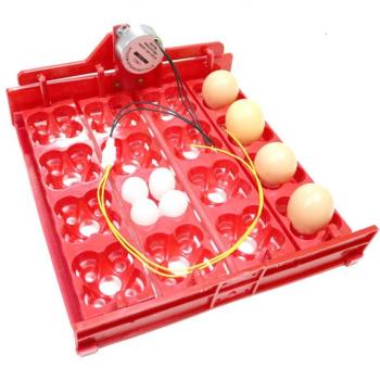 Egg Hatching Incubator for 16 Chicken Eggs and 64 Quail Eggs, 220V/110V/12V