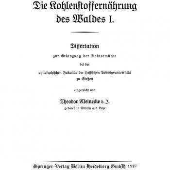 Die Kohlenstoffernährung des Waldes I: Dissertation zur Erlangung der Doktorwürde bei der philosophischen Fakultät der Hessischen Ludwigsuniversität zu Gießen