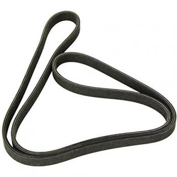 Dayco Cinghia Poly-V 6DPK1698
