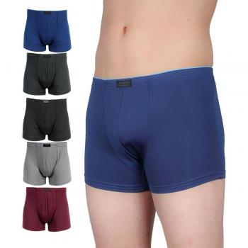 5er-Pack Retroshorts Retropants für Männer aus Microfaser in 5 Farben und Größe 6 (L)