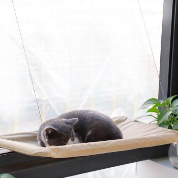 Vouwbare Hangmat voor Katten