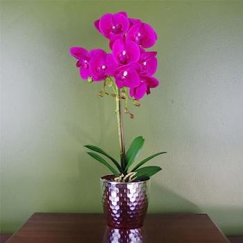 50cm Dark Pink Silver Phalaenopsis Orchid