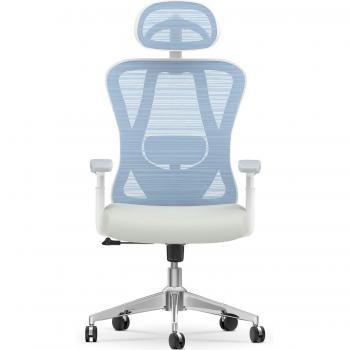 High‑Back Mesh Executive Chair with Adjustable Headrest and Lumbar Support