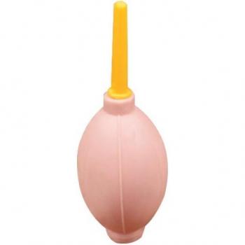 Succulent Air Cleaner Balloon