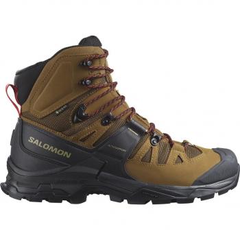 Chaussures Salomon Quest 4 GORE-TEX marron chocolat - 44(2/3)