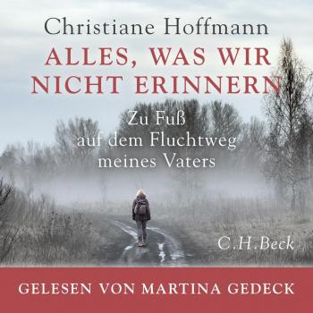 Alles was wir nicht erinnern
