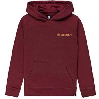 Blazin Chest - Sudadera con Capucha para Chicos