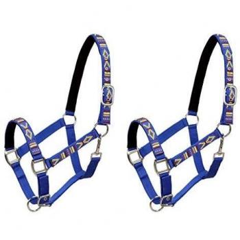 Pferdehalfter 2 Stück Nylon Größe Pony Blau