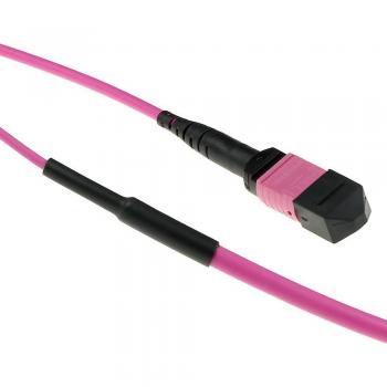 ACT 35 Meter Multimode 50/125 OM4(OM3) Polarity B Fiber Trunkkabel mit MTP/MPO weiblichen Steckern (CAT6, 35 m), Netzwerkkabel