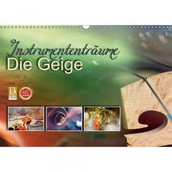 Instrumententräume - Die Geige