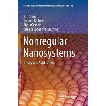 Nonregular Nanosystems: Theory and Applications (Lecture Notes in Nanoscale Science and Technology, Band 26)
