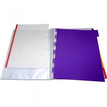 CARPETA GOMAS 50 FUNDAS MAXIPLAS PP+SEPARADORES