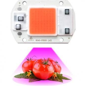 10PCS Indoor LED Grow Light Chips 380-780nm