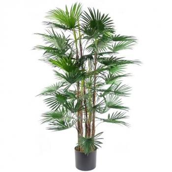 Leaf 120cm Fan Palm Tree