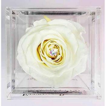 A Real Rose That Lasts A Year - White Gold Solo with Multicolour Swarovski Crystal (White)