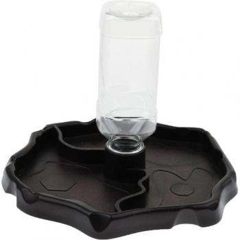 Distributeur d'eau pour reptiles