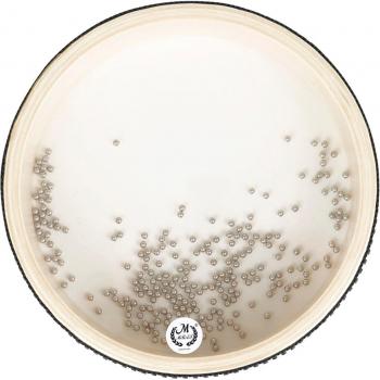 Natural Color Ocean Drum