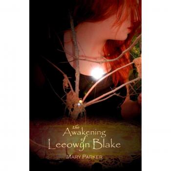 The Awakening of Leeowyn Blake: The Kahl'Nar Saga - Book 1