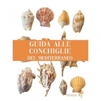 Guida alle conchiglie del Mediterraneo