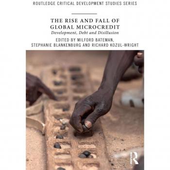 Vitalsource Technologies, Inc. Rise and Fall of Global Microcredit