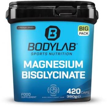 BIG PACK Magnesium Bisglycinat, 420 Stück