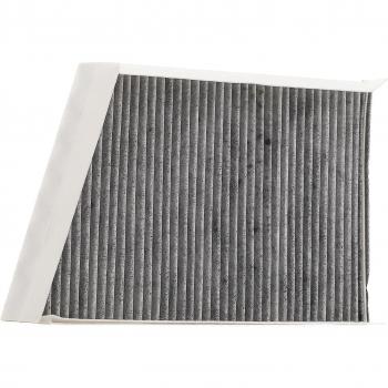 Ridex 424I0228 Filtre à charbon actif