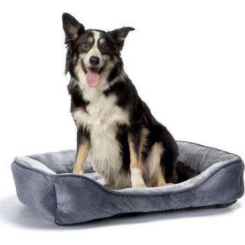 Cama Nobleza Super Suave para Mascotas Medianas – Relleno de Fibra y Fácil Limpieza