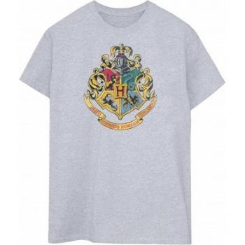 Harry Potter Gryffindor T-Shirt XXL grau