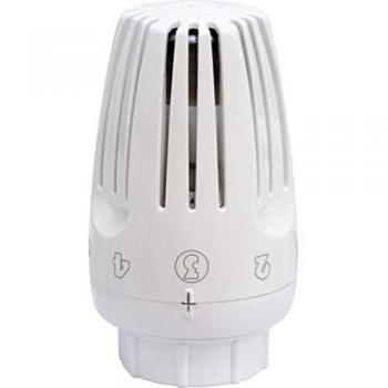 Testa Termostatica Giacomini R469H