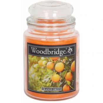 Woodbridge Duftkerze Zitrusfrische