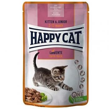 Happy Cat Kitten all'Anatra