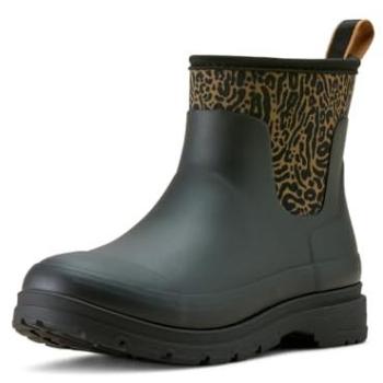 Ariat Kelmarsh Shortie Baskets Femme – Noir