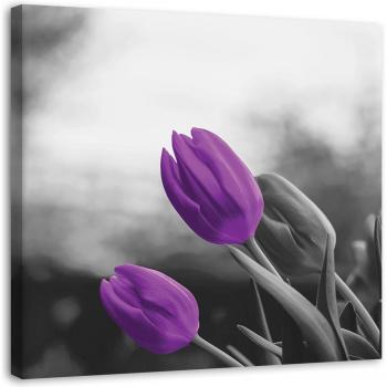 Tableau Sur Toile Fleurs Lilas Tulipes 30x30