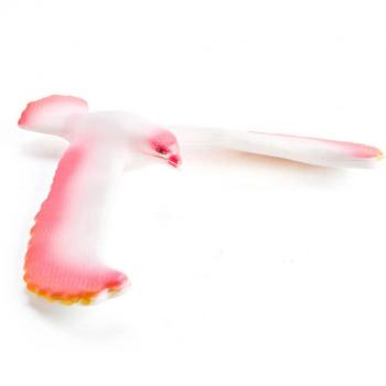 MDI Australia Balance Birds