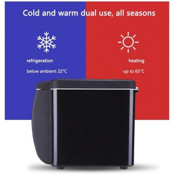 Mini 6L 2-in-1 Car Fridge and Warmer