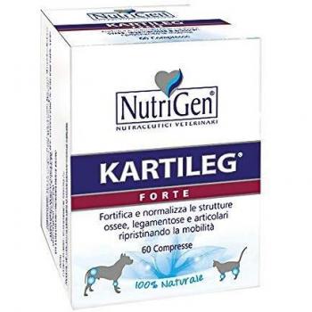 KARTILEG FORTE HE 60 TAV