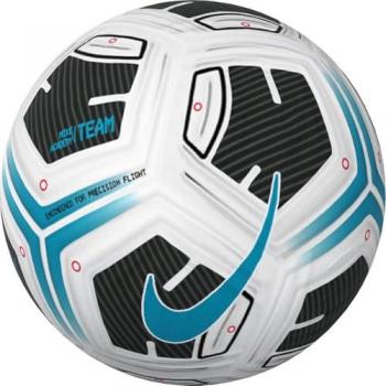 Balón de Fútbol Nike Pro