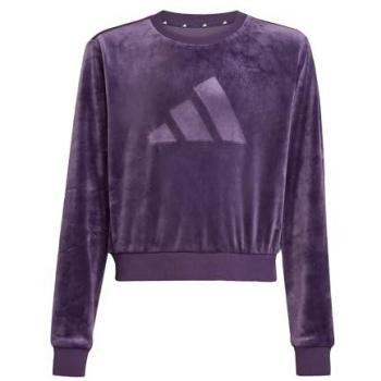 Adidas Holiday Glam Velvet Vibe Girl’s Hoodie
