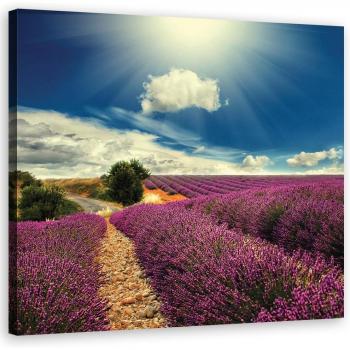 Impresión Lienzo Prado de Lavanda 30x30